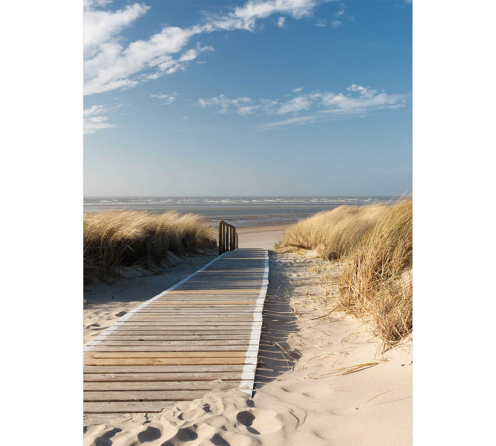 Photo wallpaper beach on the Baltic Sea - cream, blue, white
