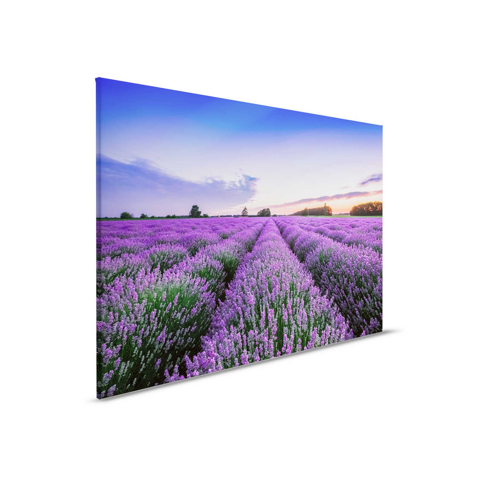         Canvas painting Lavender Field at Sunset - 0,90 m x 0,60 m
    
