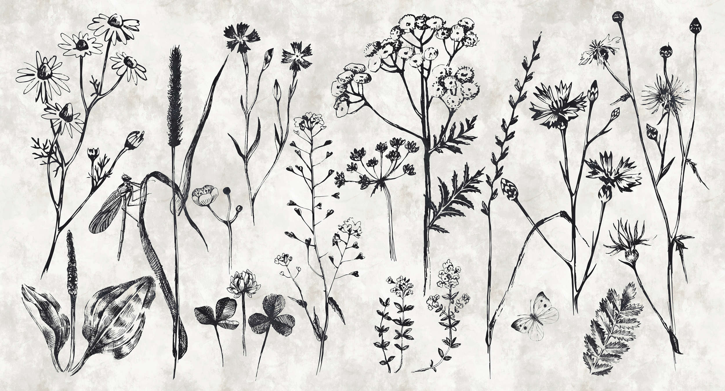             Papier peint panoramique herbes aromatiques pour la cuisine - blanc, noir
        