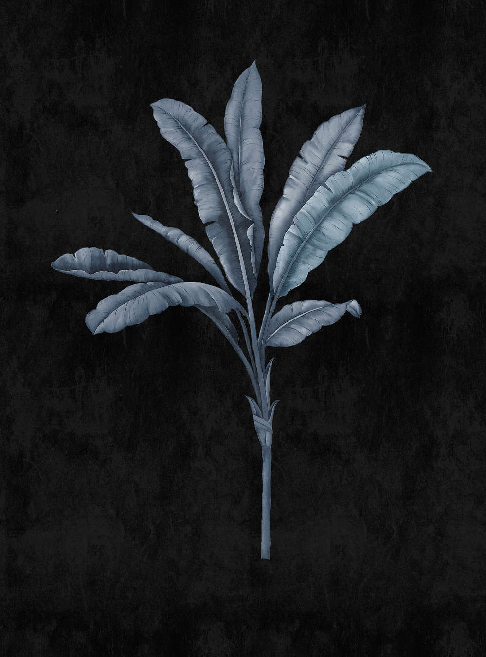             Fiji 2 - Muurschildering zwart met blauwgrijs palmboommotief
        