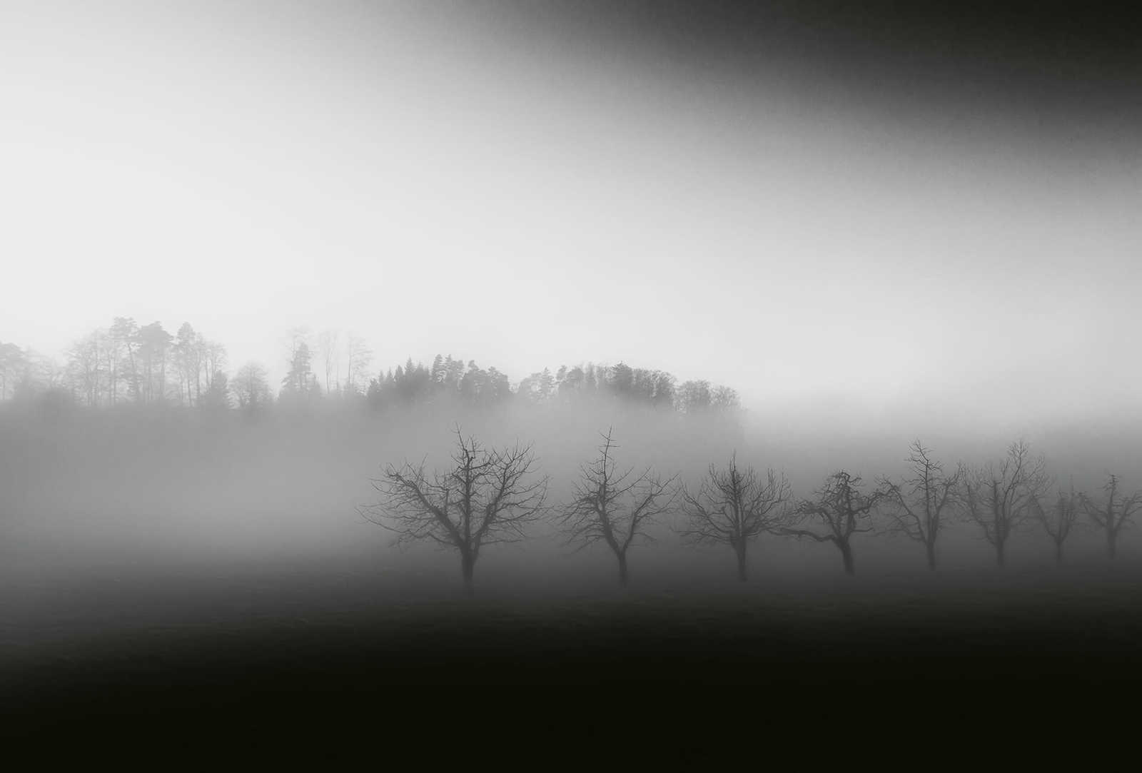 Papier peint panoramique paysage avec brouillard - noir, blanc, gris
