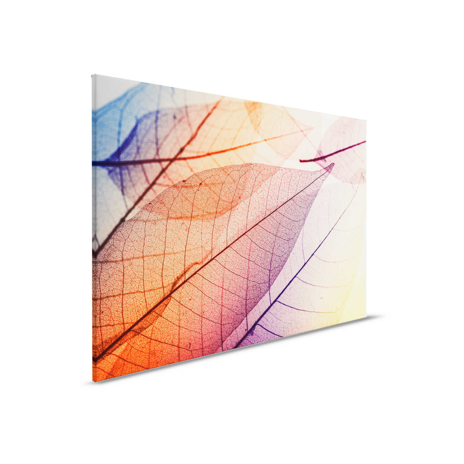         Canvas with leaf pattern X-ray - 0.90 m x 0.60 m
    
