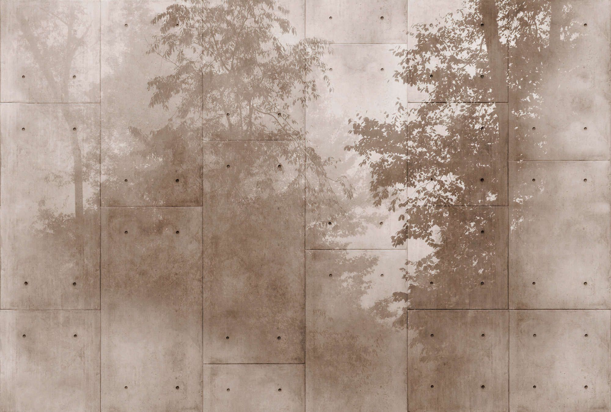             papier peint en papier panoramique »mytho« - cimes d'arbres sur dalles de béton - intissé premium lisse et légèrement brillant
        