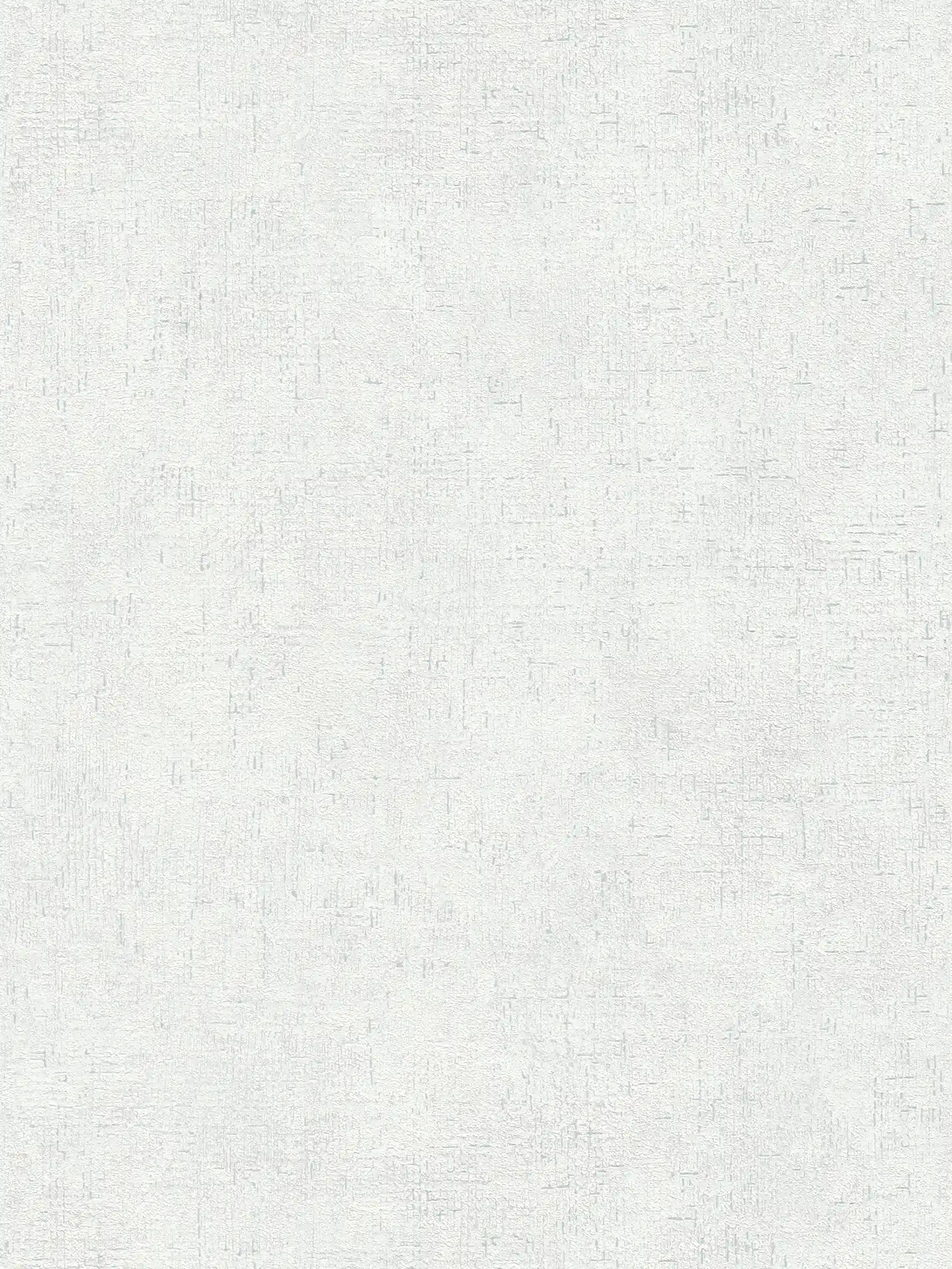 Carta da parati in tessuto non tessuto grigio-bianco con design a struttura rustica ed effetto opaco-lucido
