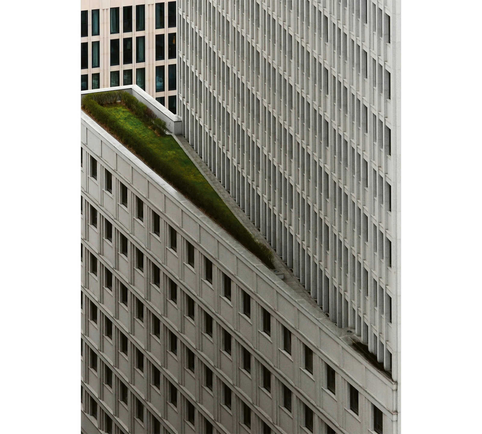         Photo wallpaper white skyscraper - grey, white, black
    