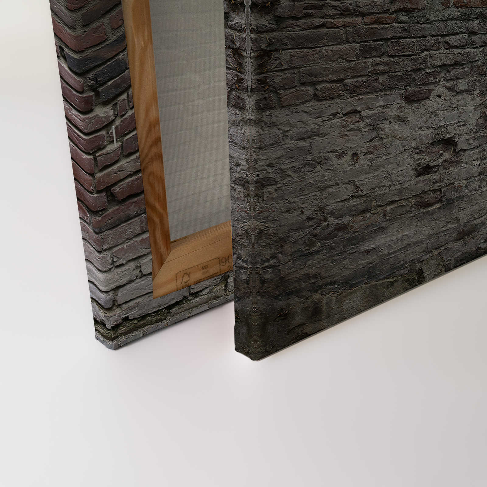             Mur de briques Toile 3D aspect rustique - 1,20 m x 0,80 m
        