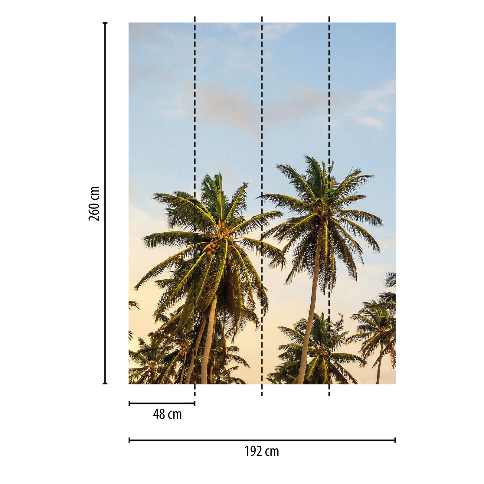             Smalle palmbomen in Ibiza muurschildering
        