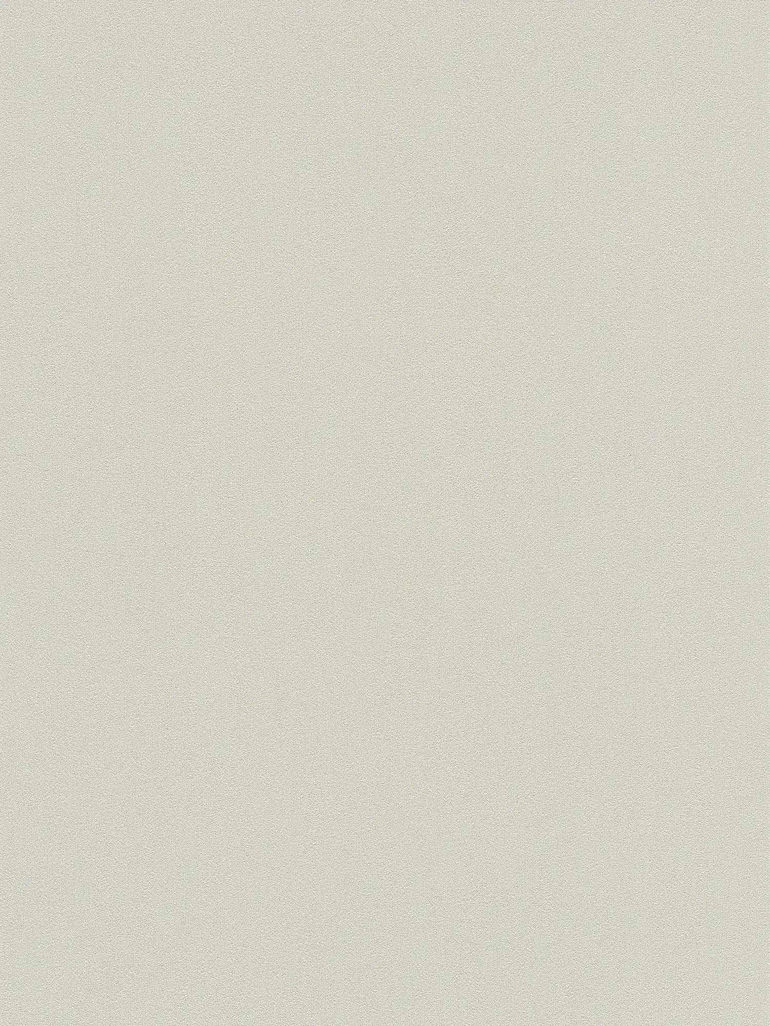 Karl LAGERFELD Carta da parati in tessuto non tessuto tinta unita e texture - grigio
