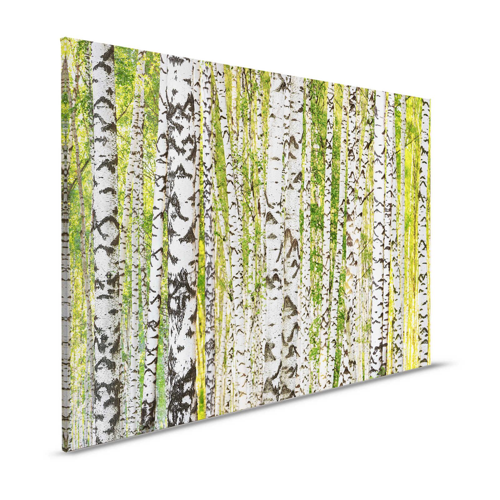 Forêt de bouleaux toile motif tronc d'arbre - 1,20 m x 0,80 m
