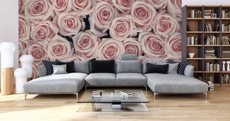             Papel pintado de plantas Rosas rosas y blancas sobre vellón liso mate
        
