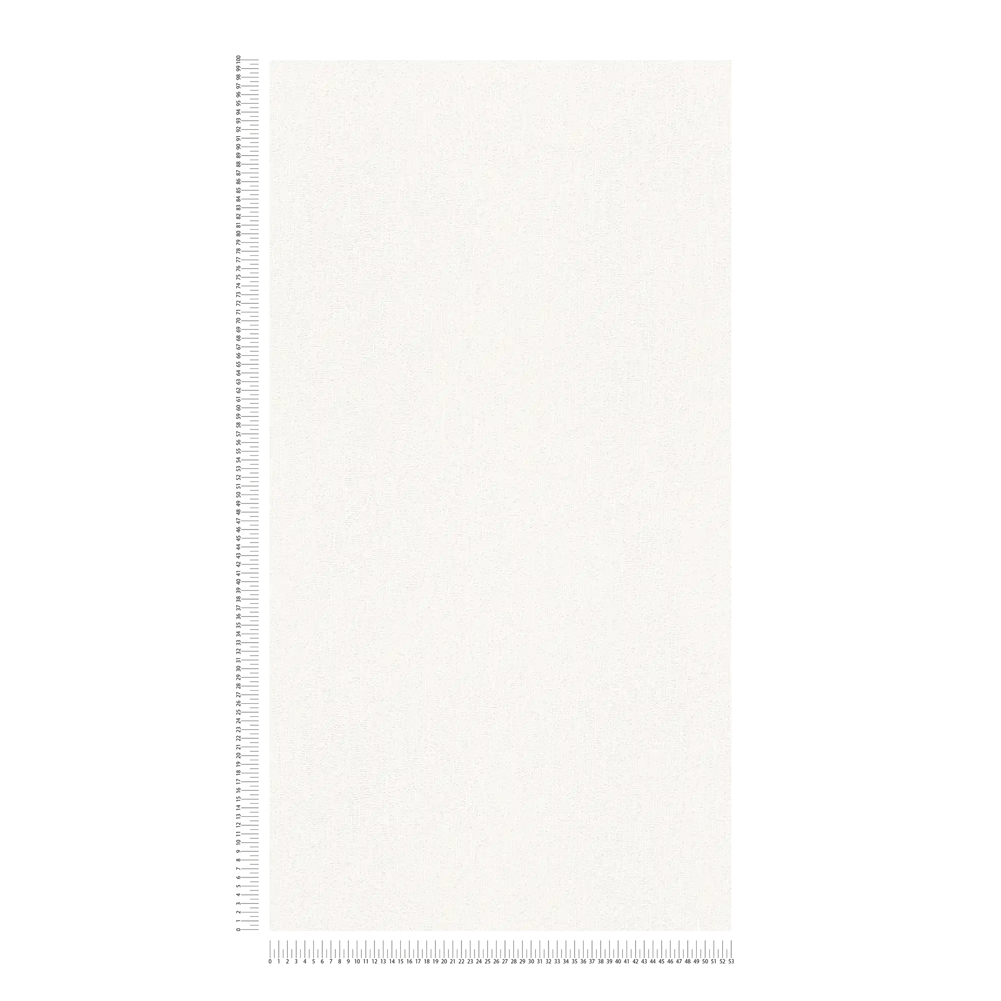             Carta da parati liscia bianca con struttura in schiuma effetto gesso
        