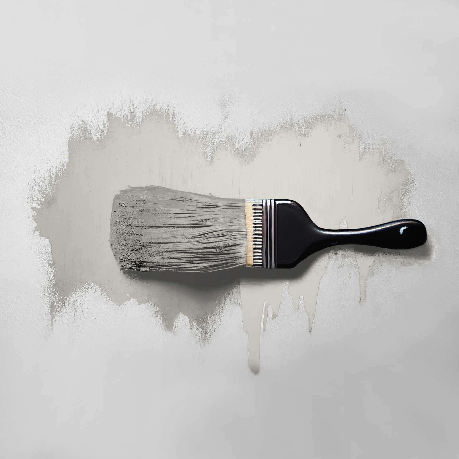             Pittura murale TCK1016 »Opened Oyster« in grigio tenue – 2,5 litri
        
