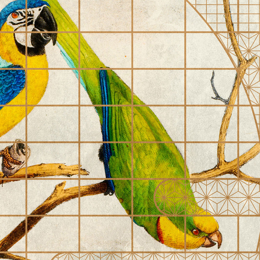             Aviary 3 - Carta da parati con motivi dorati e pappagalli in stile vintage
        