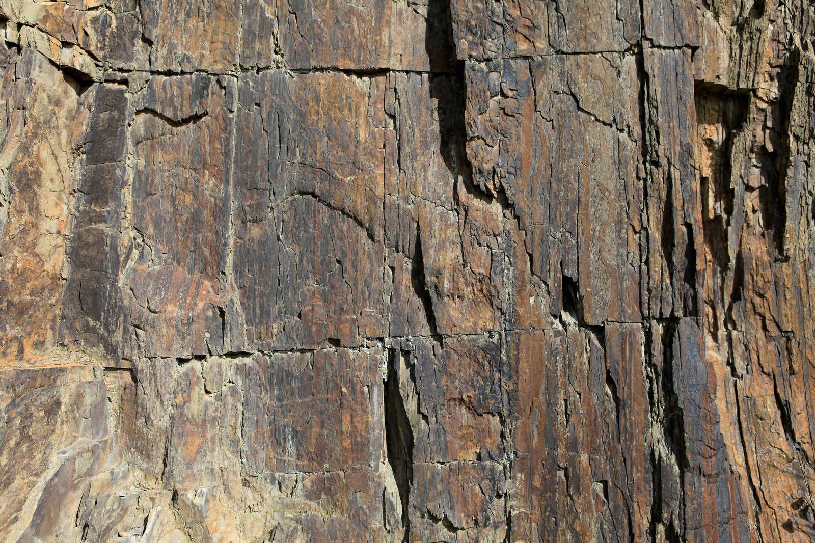             Tableau toile aspect pierre effet 3D, mur en pierre naturelle - 0,90 m x 0,60 m
        