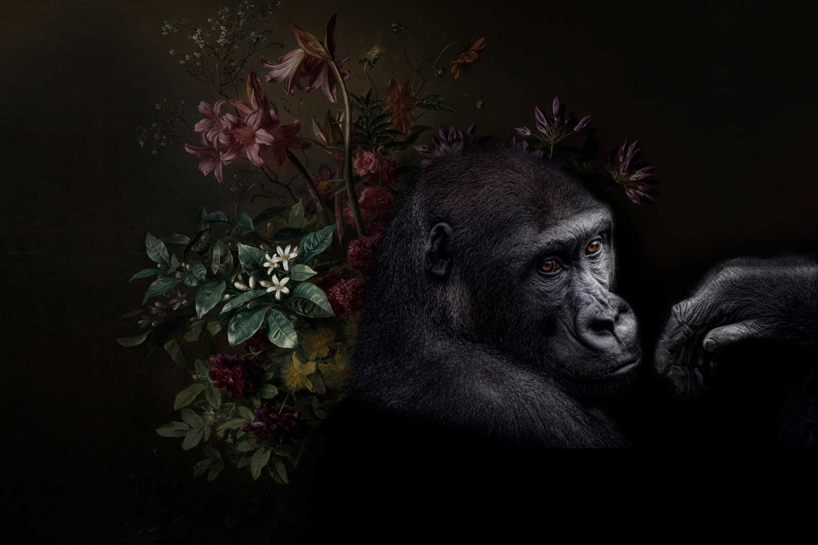             Canvas schilderij Gorilla Portret met bloemen - 0,90 m x 0,60 m
        