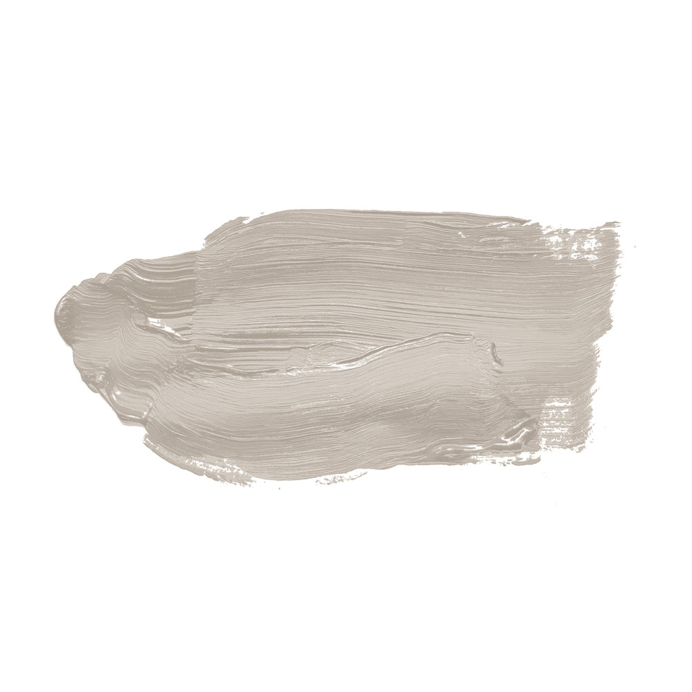             Wall Paint TCK1017 »Oyster Mushroom« in light taupe – 2.5 litre
        