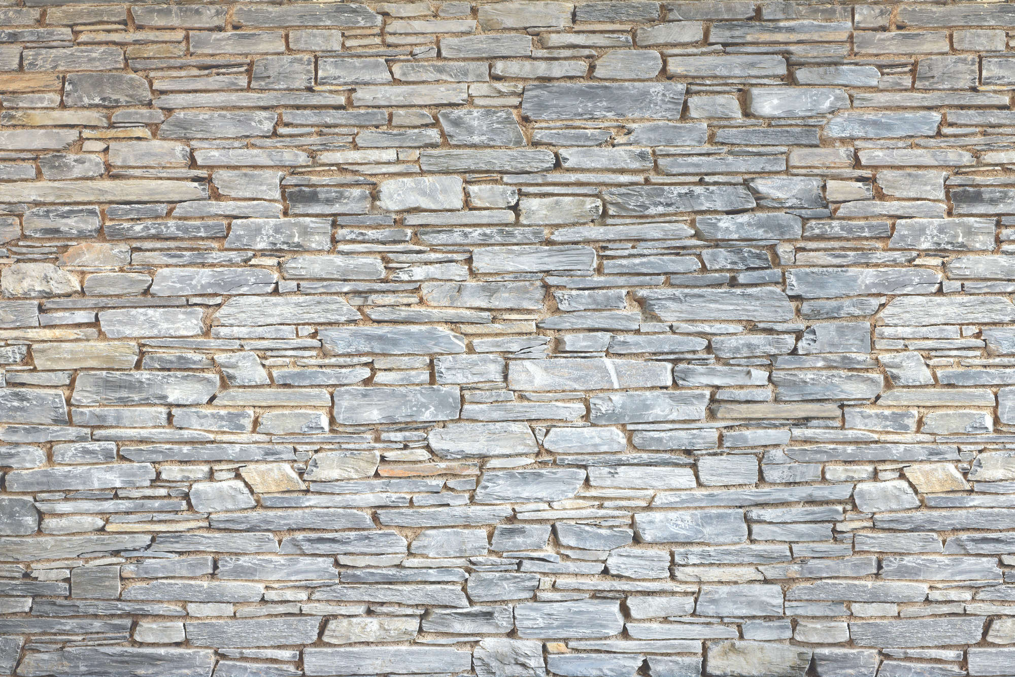             Mur de pierres Papier peint panoramique gris clair aspect pierre naturelle
        
