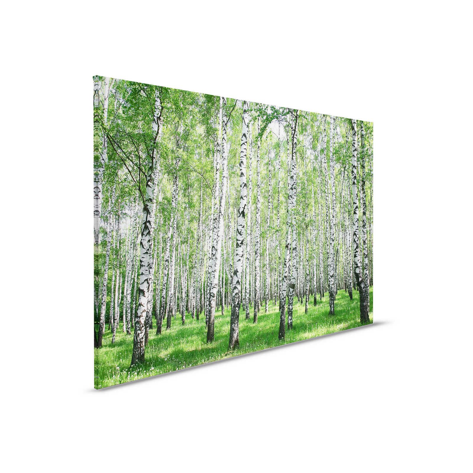        Canvas painting Landscape Birch Forest by Day - 0,90 m x 0,60 m
    