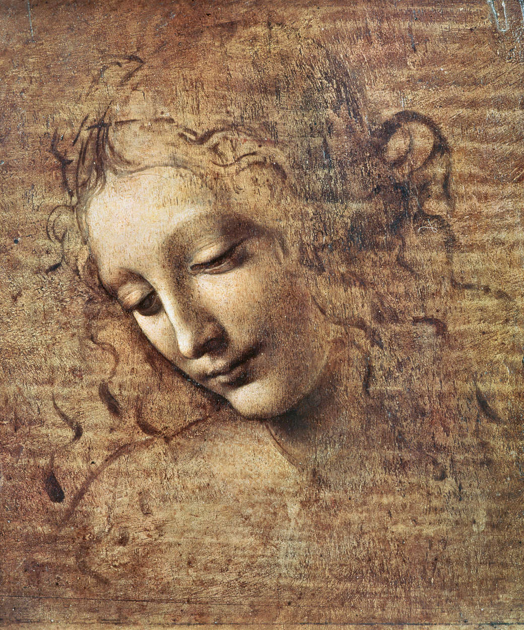             Fotomurali "Testa di giovane donna con capelli scompigliati" di Leonardo da Vinci
        
