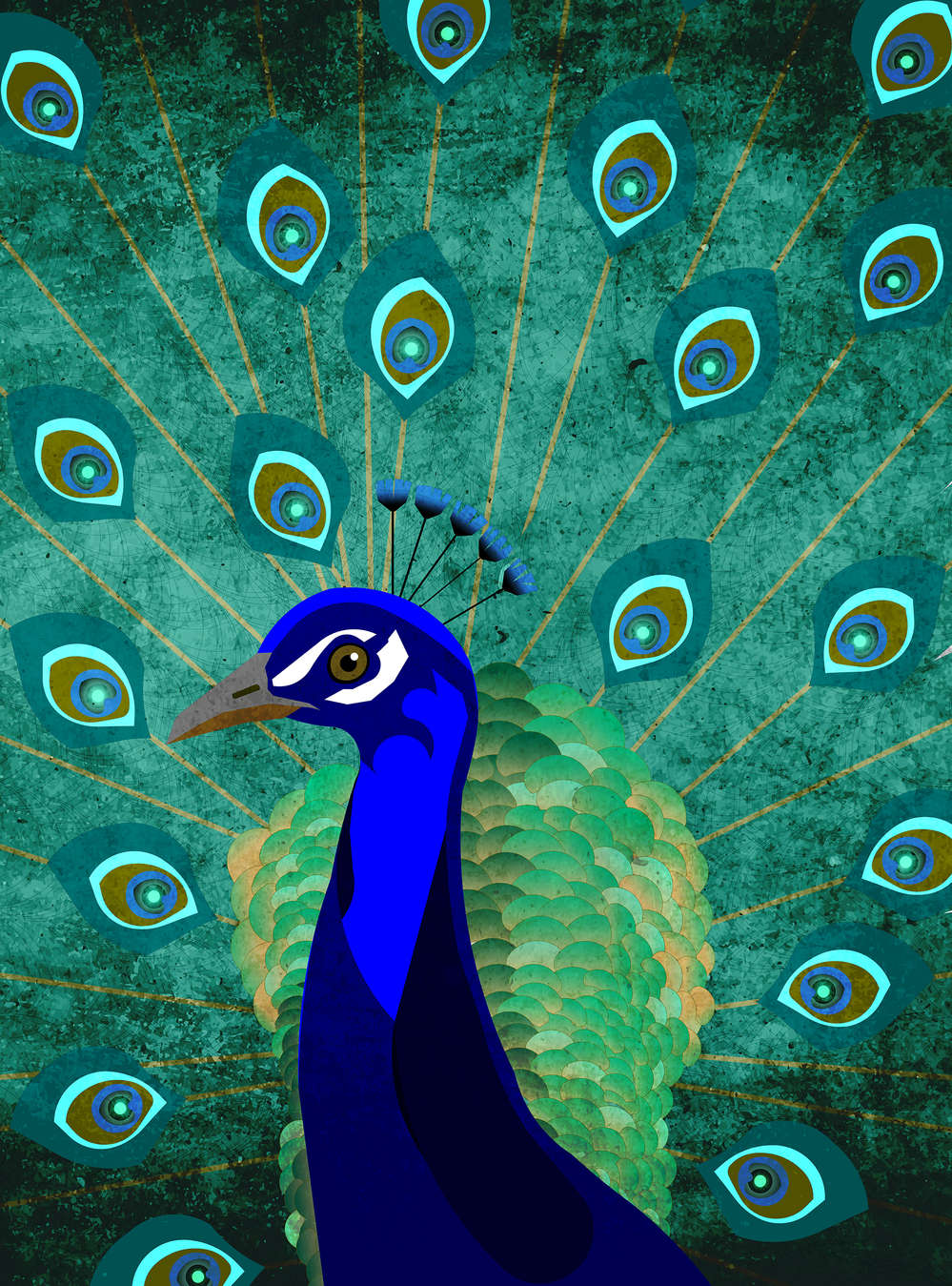             Peacock mural with feather wheel - blue, green, petrol
        
