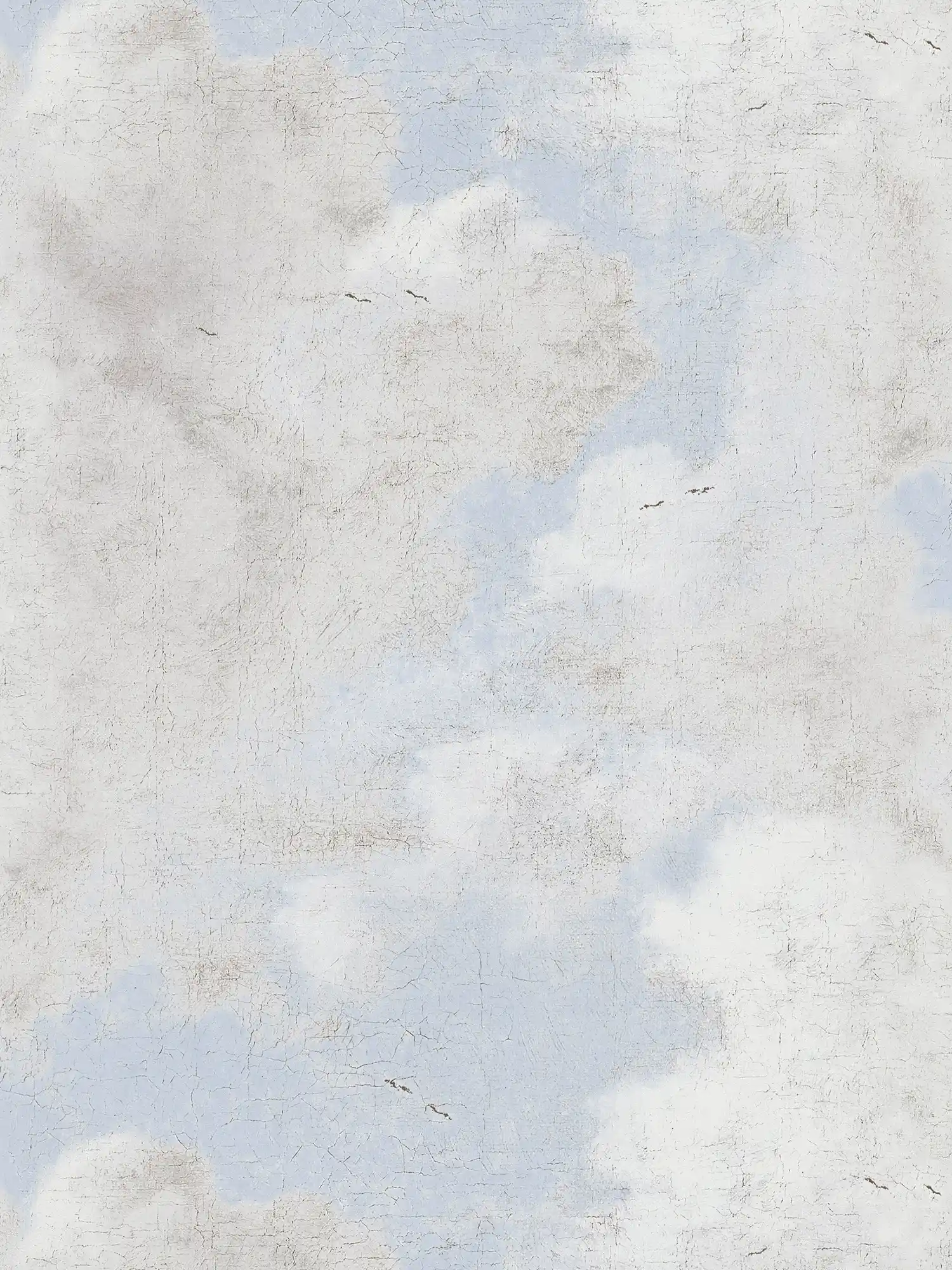 Papier peint ciel style art classique - gris, bleu

