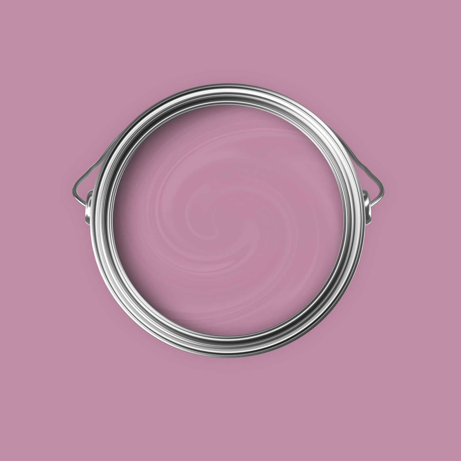             Pintura mural Premium Sensitive Berry »Beautiful Berry« NW210 – 5 litro
        