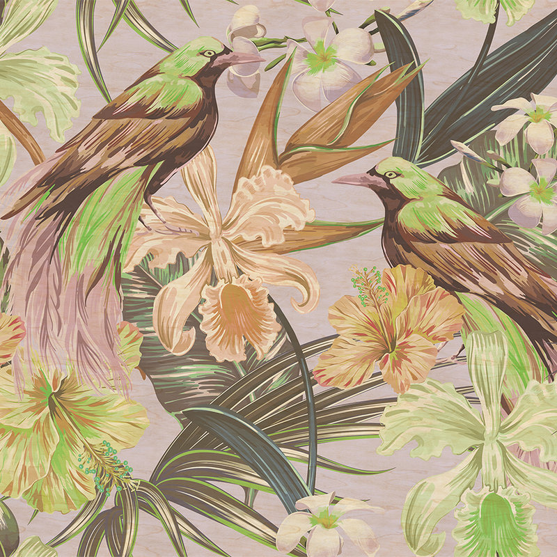 Exotic birds 2 - Papier peint oiseaux exotiques & plantes - À structure grattée - Beige, Vert | Intissé lisse mat
