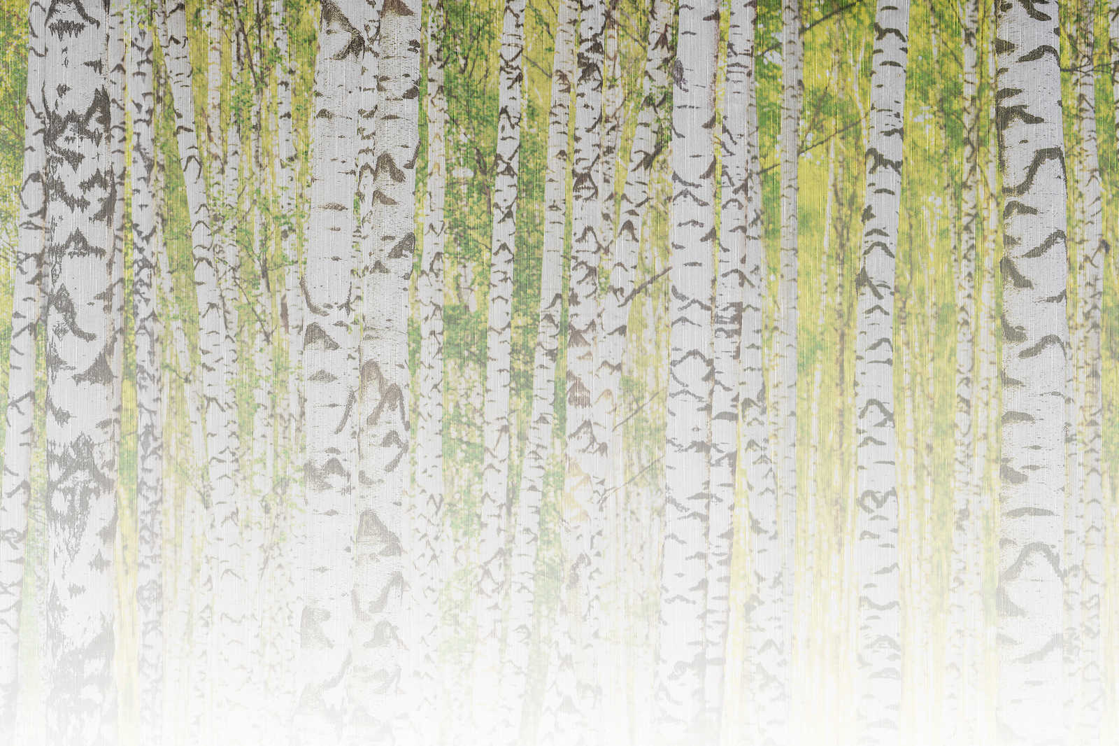             Tableau toile avec forêt de bouleaux à l'aspect structuré de lin - 0,90 m x 0,60 m
        