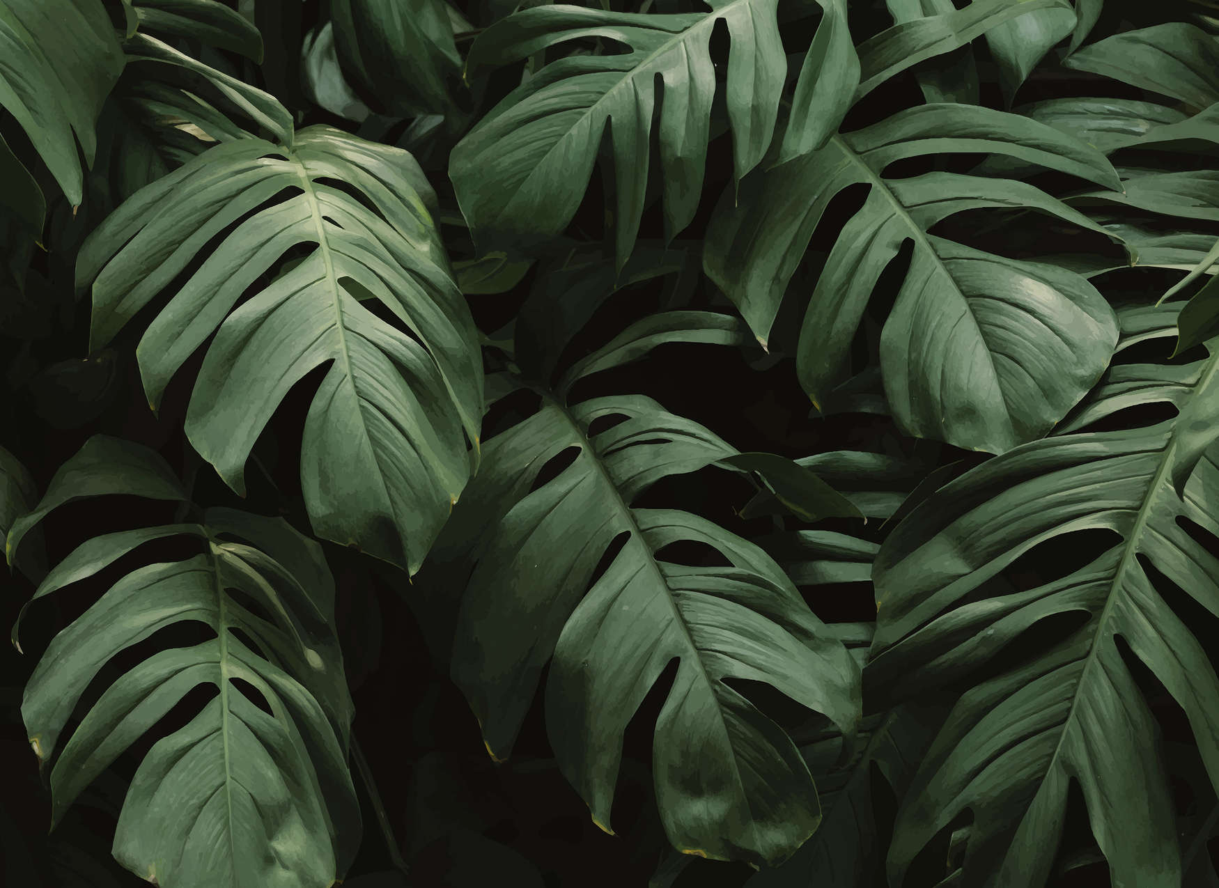             Carta da parati con foglie della giungla tropicale - Verde
        