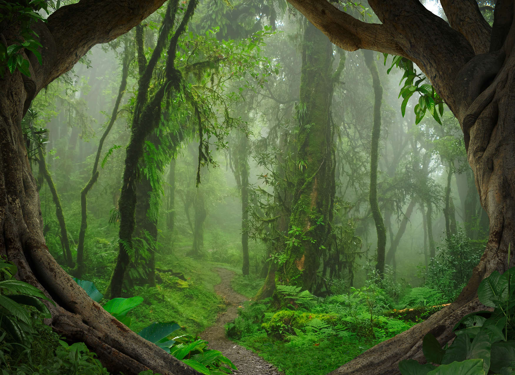             Papier peint magique forêt tropicale - vert, marron
        