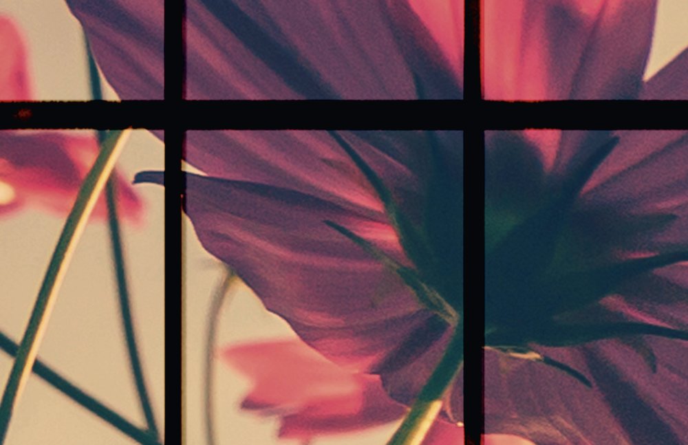             Meadow 1 - Papier peint fenêtre à croisillons avec prairie fleurie - vert, rose | Premium intissé lisse
        
