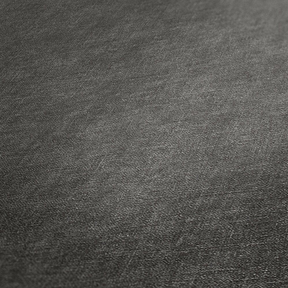             papier peint en papier intissé uni aspect plâtre - noir, gris
        