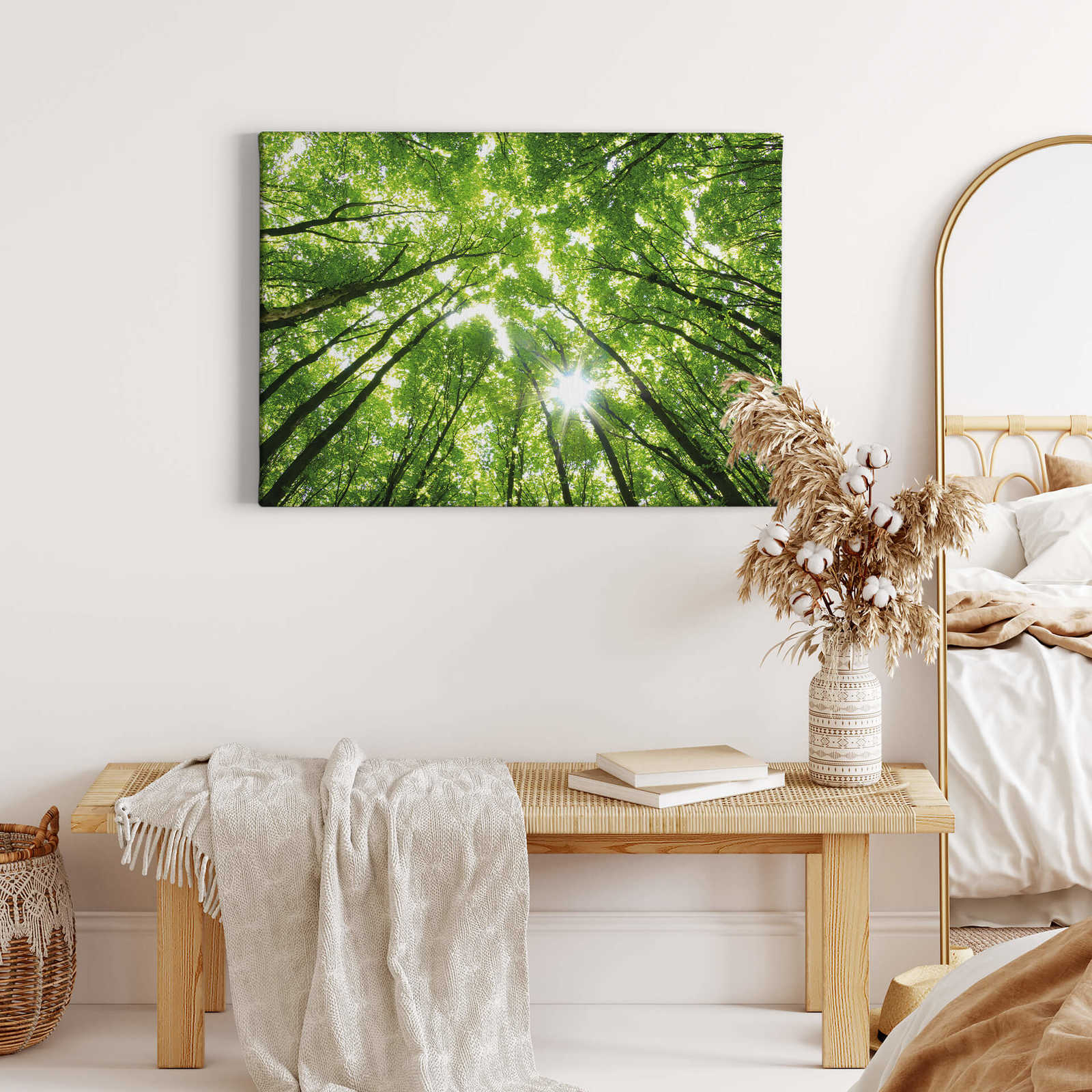             Canvas print leaves in a deciduous forest – green
        