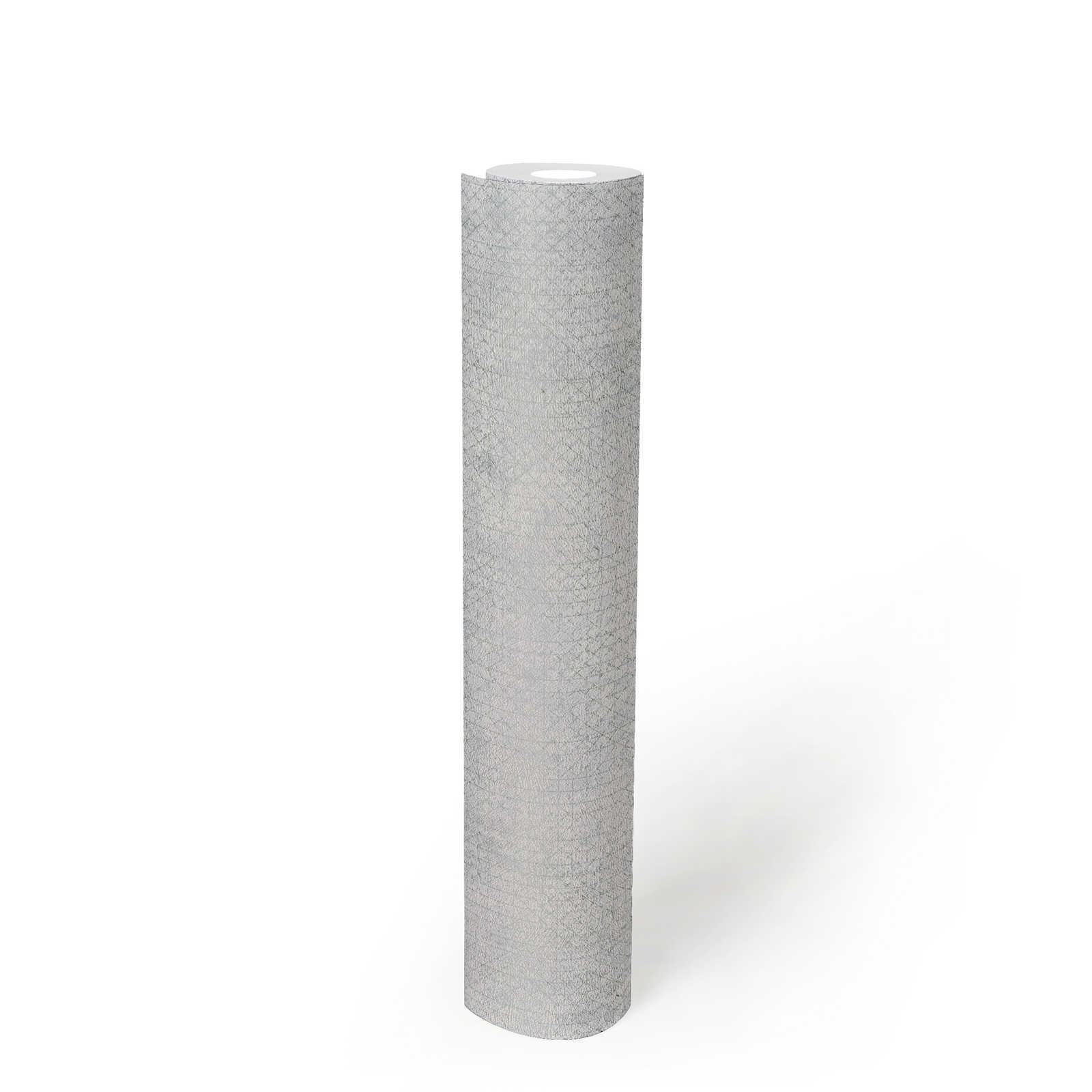             Papel pintado gris claro con motivos metálicos - Metálico, Gris
        
