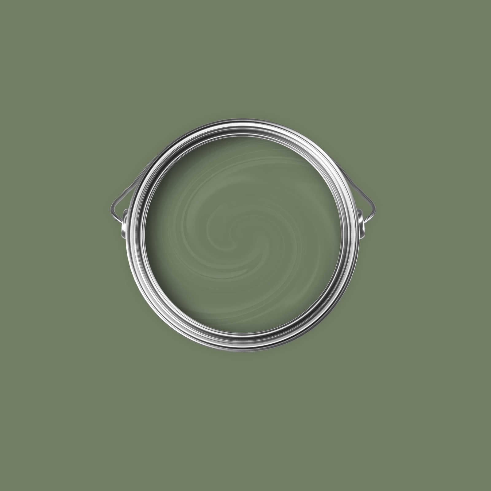             Pintura mural Premium relajante verde oliva »Gorgeous Green« NW504 – 2,5 litro
        