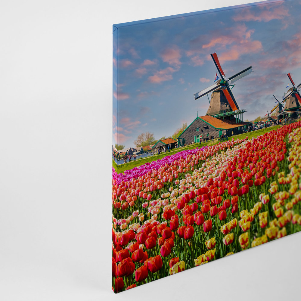             Canvas Holland Tulpen & Speldenwiel - 0,90 m x 0,60 m
        