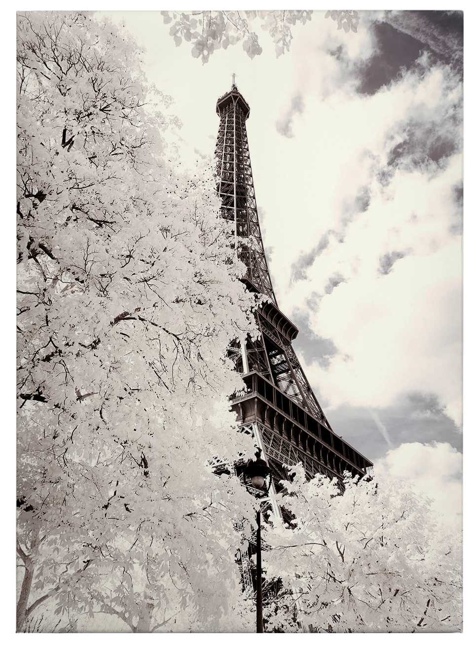             Quadro su tela Torre Eiffel in primavera, foto di Hugonnard - 0,50 m x 0,70 m
        