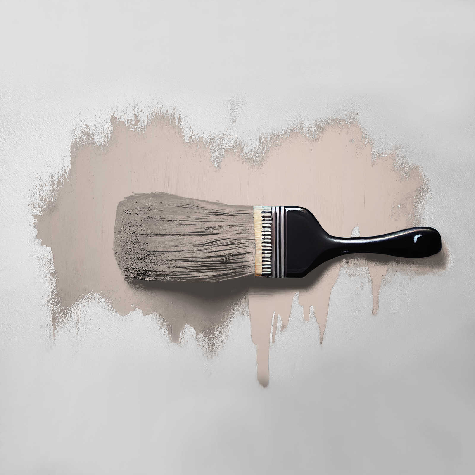             Peinture murale TCK6017 »Chilled Chai Latte« en gris tendre – 5,0 litres
        