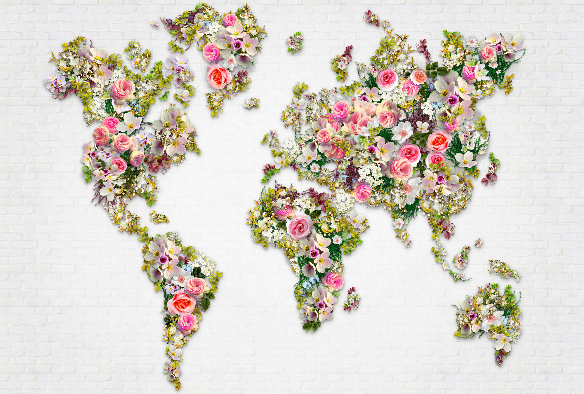             Papier peint panoramique Roses & fleurs comme carte du monde sur un mur blanc
        