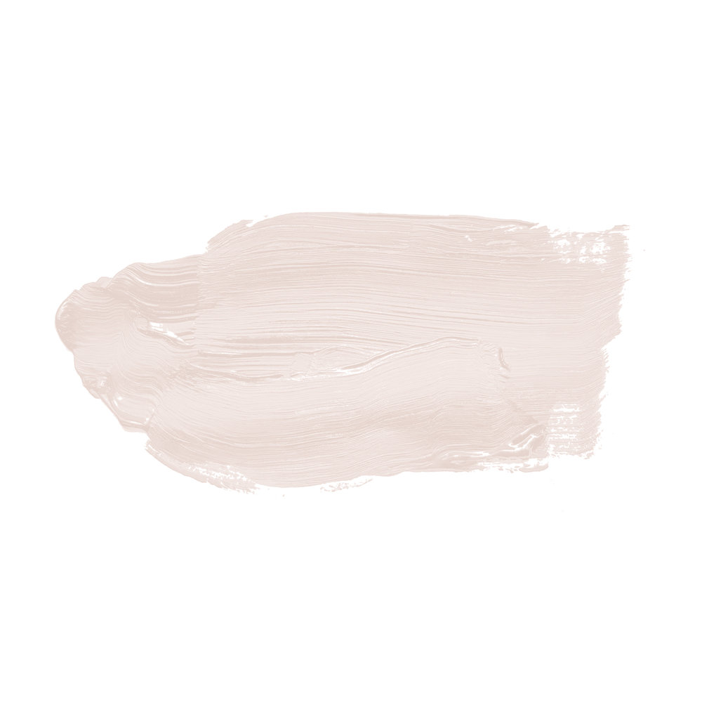             Wall Paint TCK2002 »Cotton Candy« in delicate light pink – 2.5 litre
        