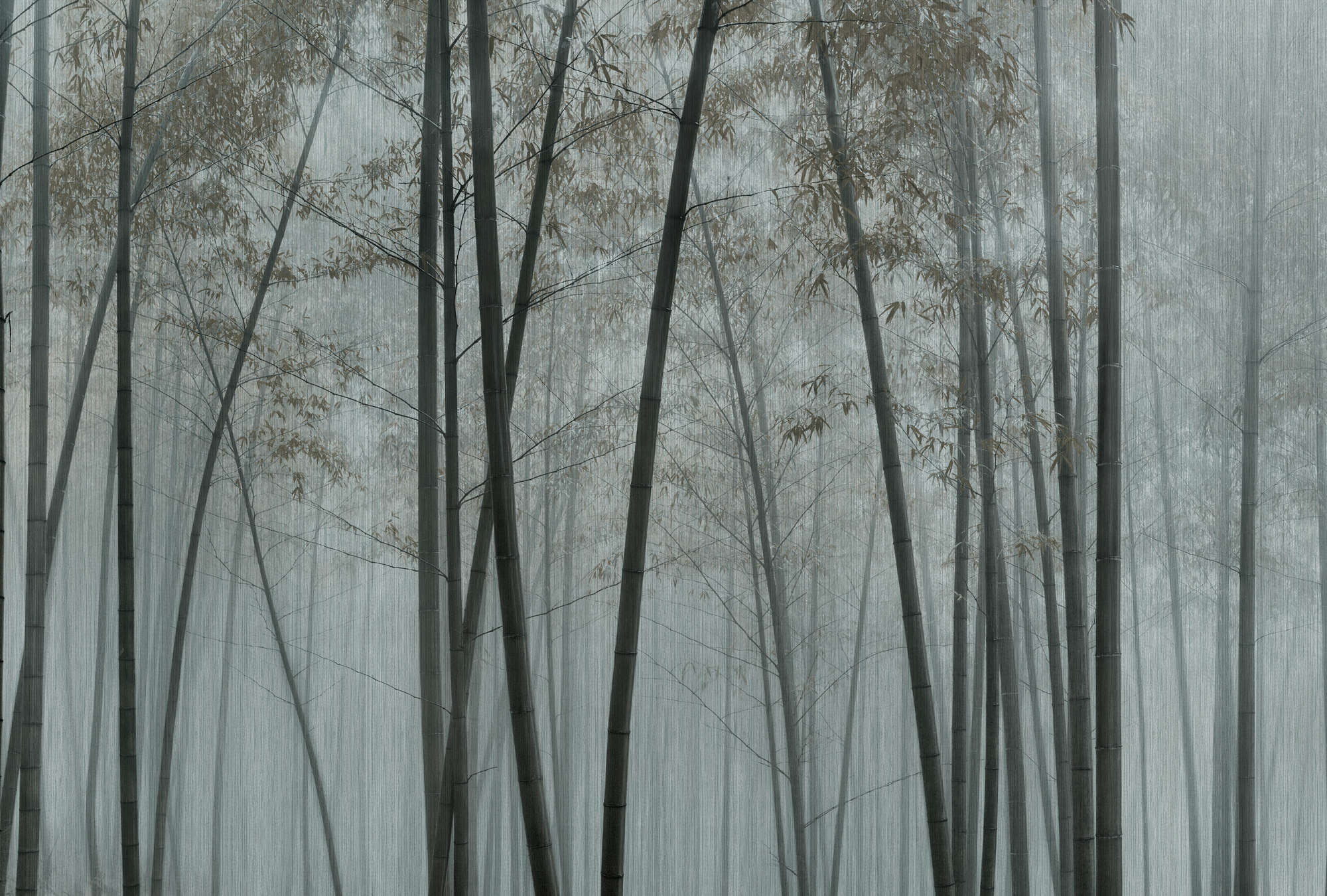             In the Bamboo 1 - Papier peint panoramique forêt de bambous dans la brume
        