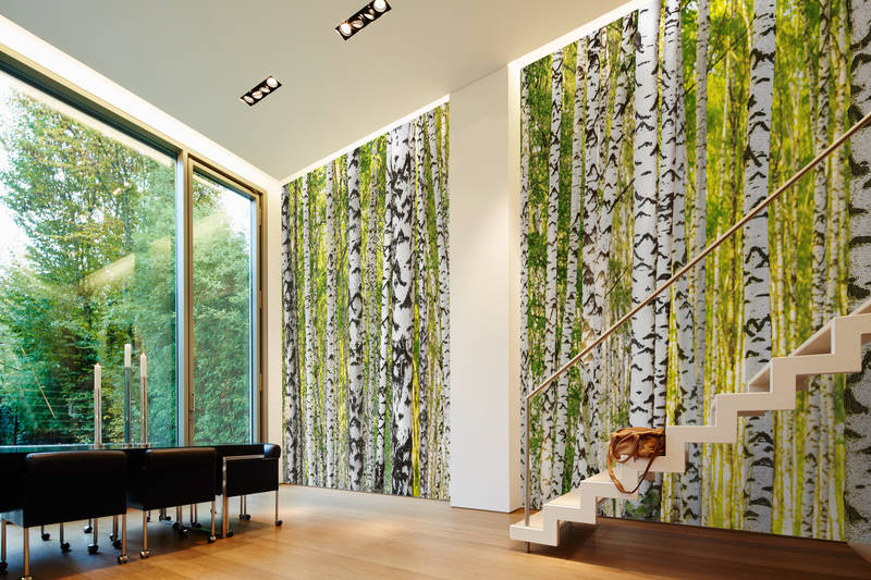             Forêt de bouleaux Papier peint motif tronc d'arbre sur intissé lisse premium
        