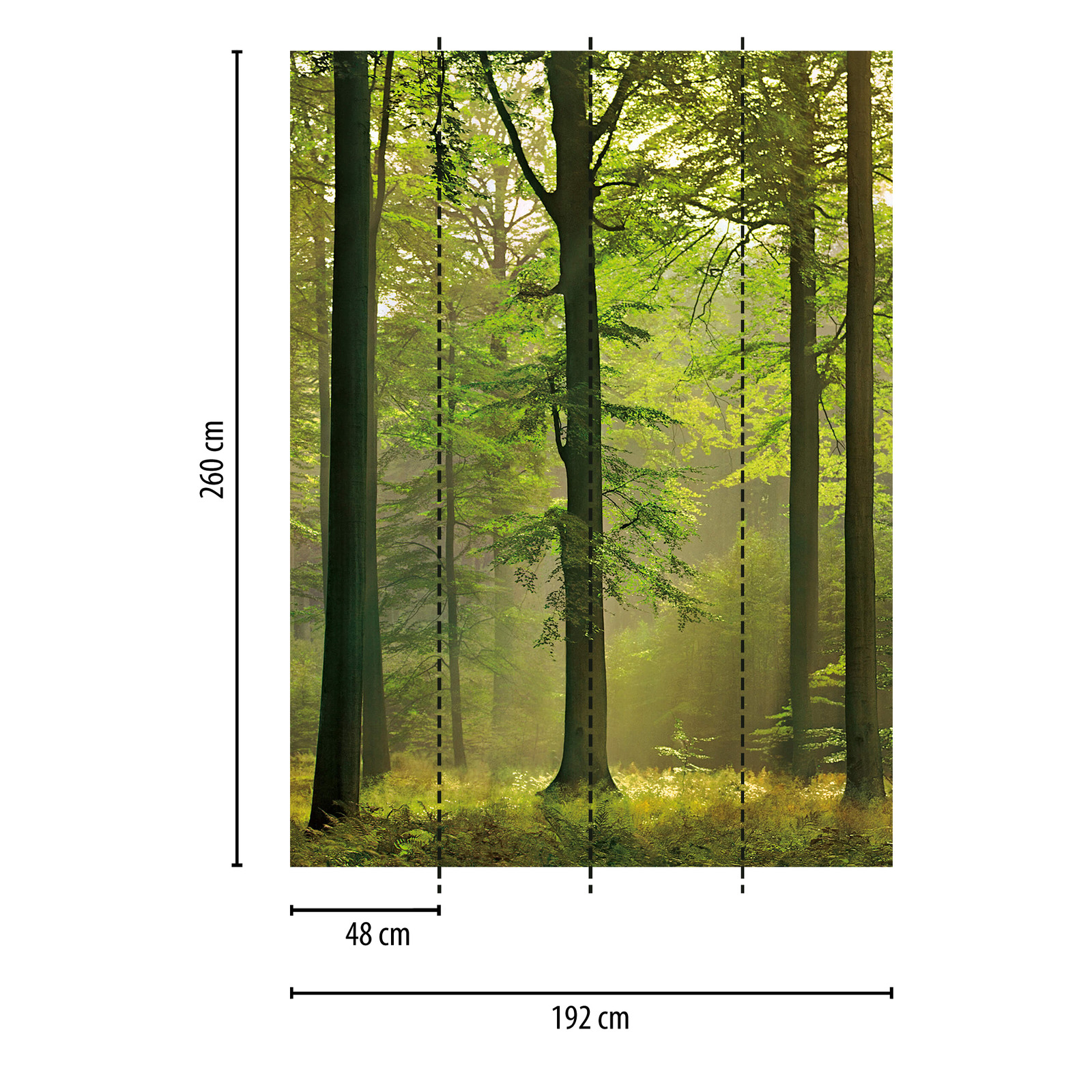             Fotomurali motivo foresta verde in formato verticale
        