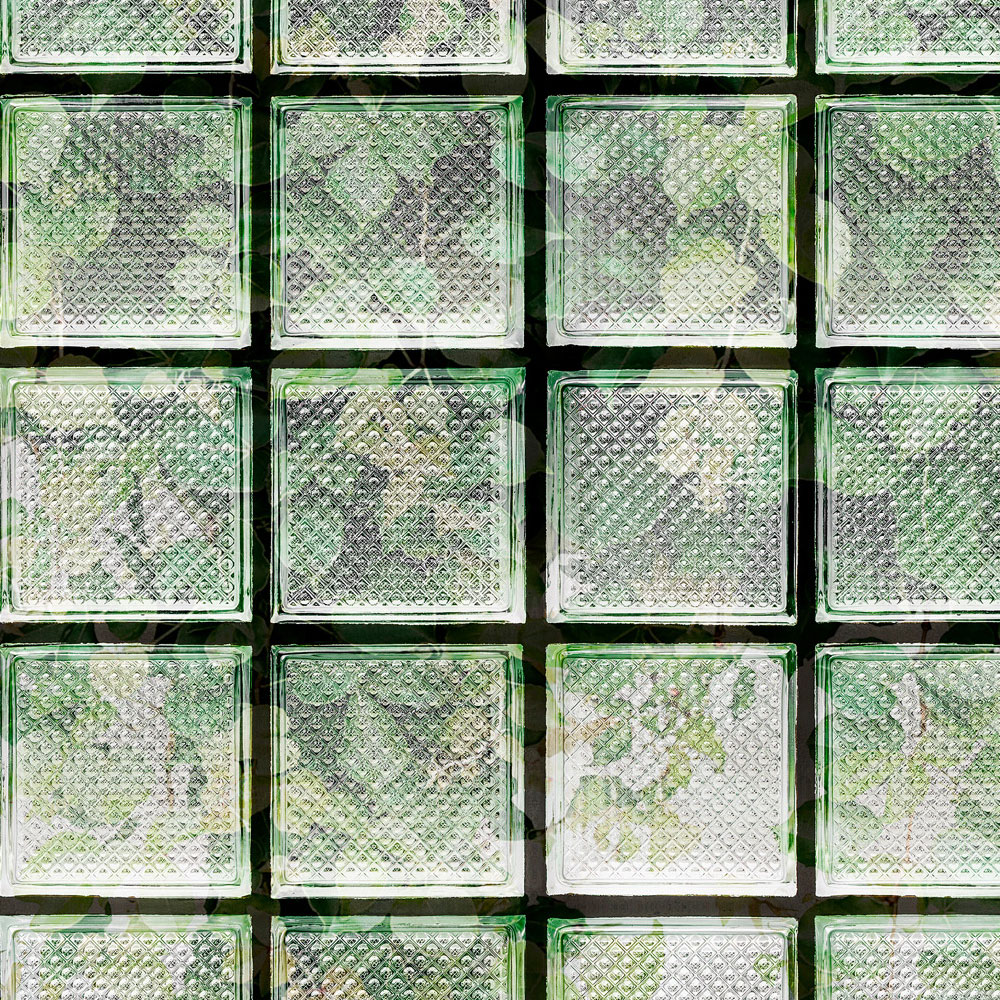             Green House 2 - Papel pintado de invernadero Hojas y ladrillos de vidrio
        