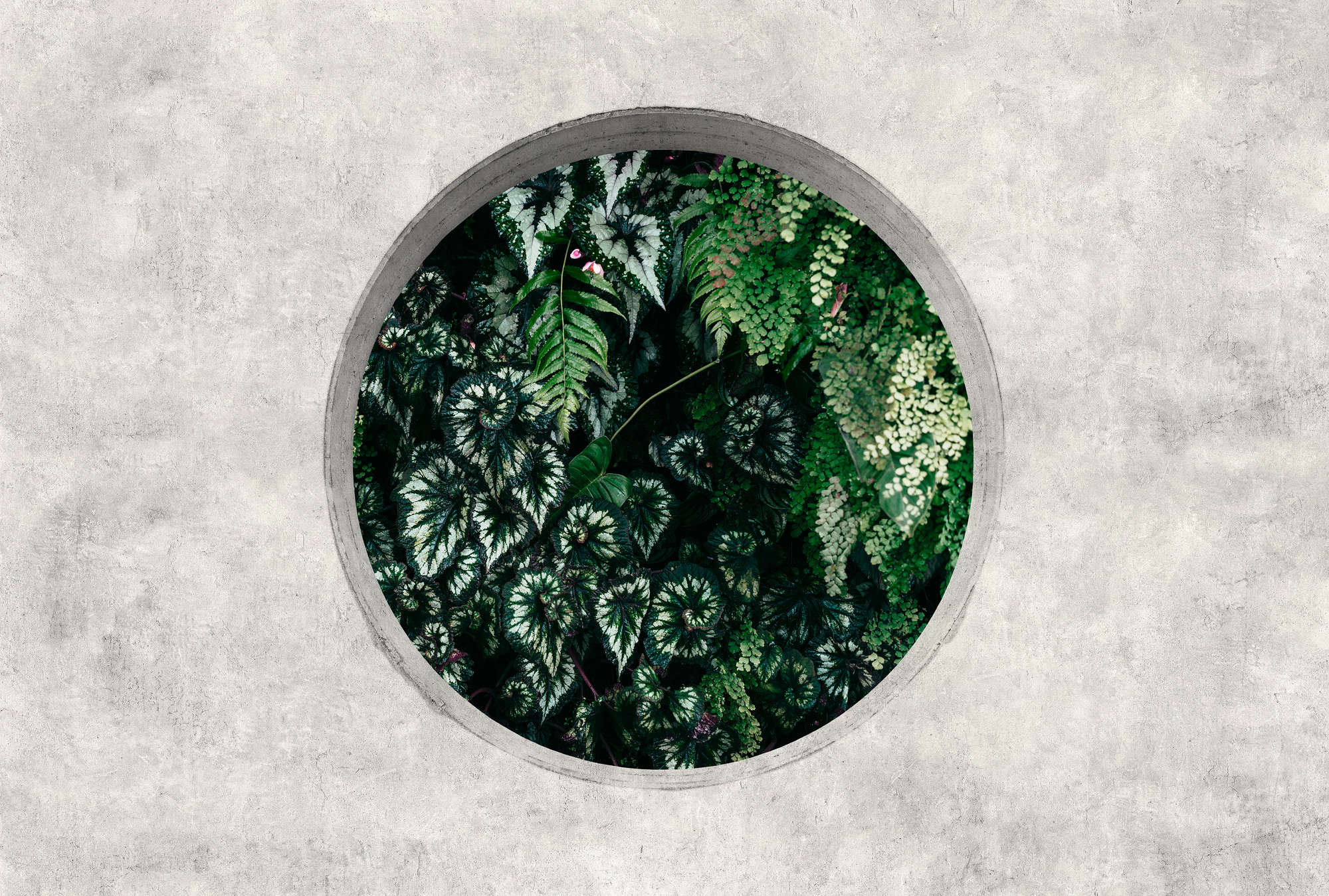             Deep Green 1 - Foto papel pintado ventana redonda con plantas de la selva
        