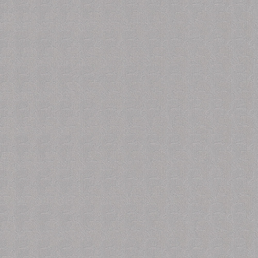             Wallpaper Karl LAGERFELD plain with profile pattern - grey
        