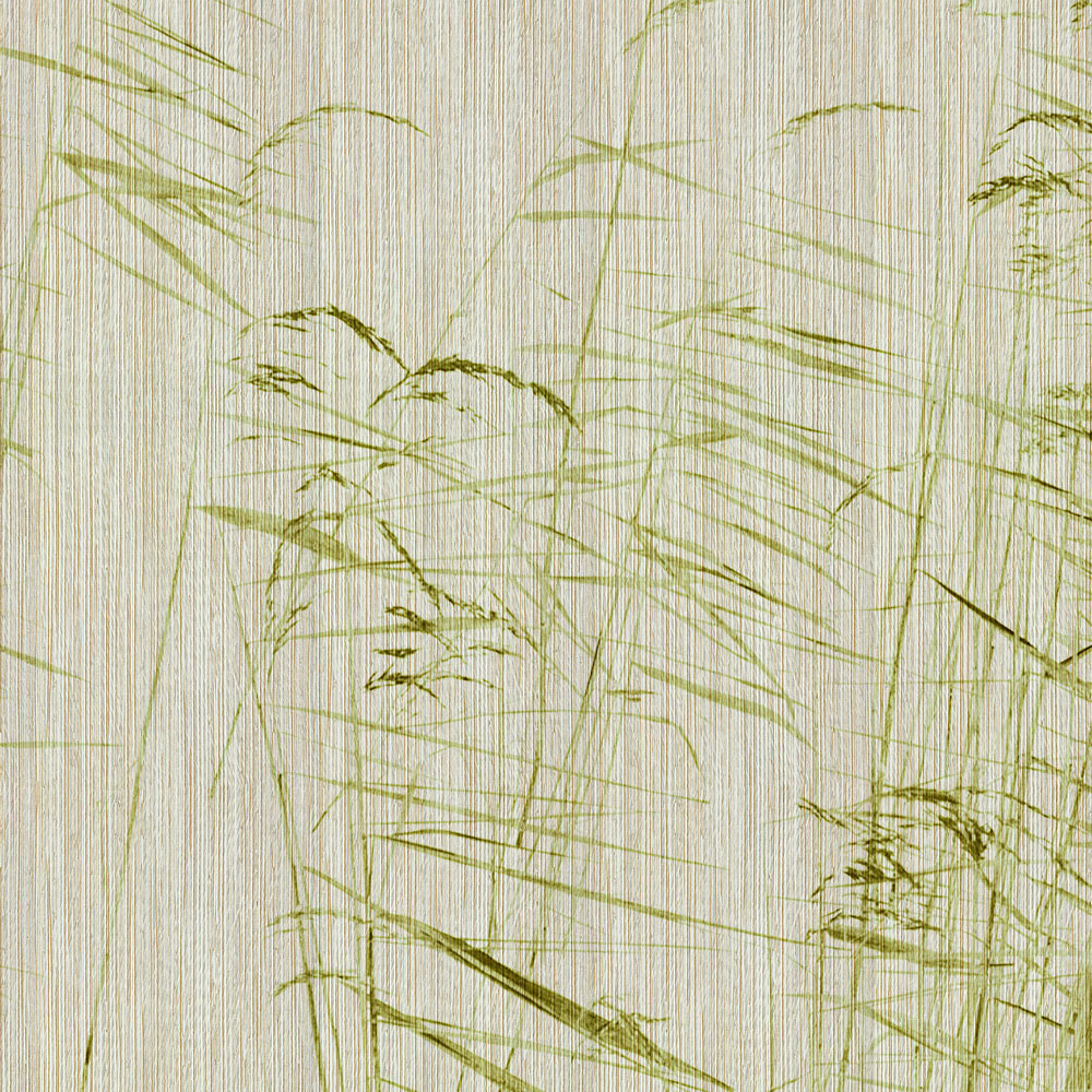             Aan de vijver 1 - Natuurbehang groene rietstengels aan de vijver
        