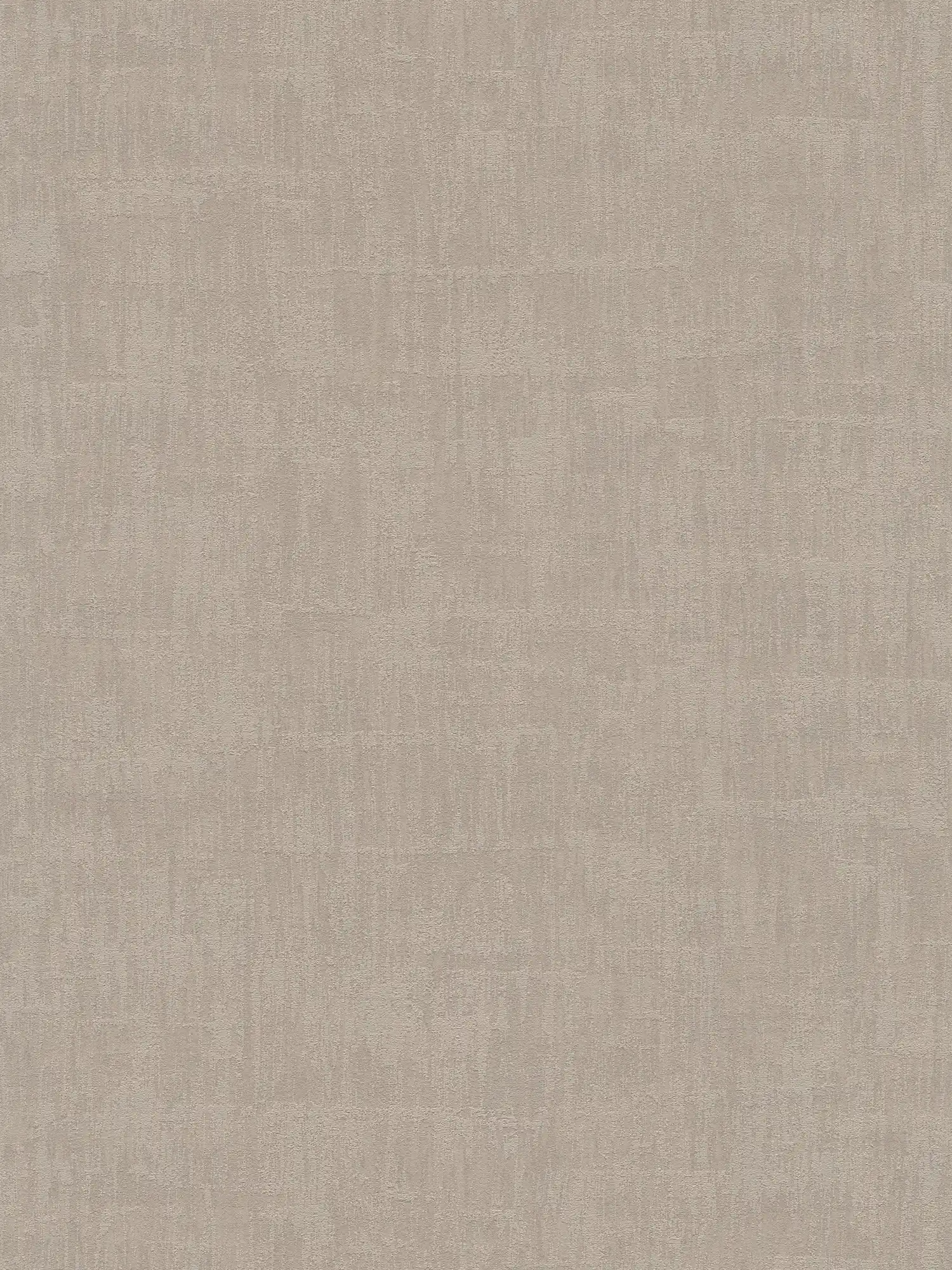Used look wallpaper with raffia pattern - grey
