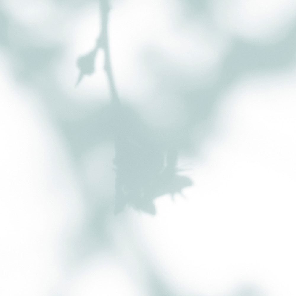             Light Room 2 - Papier peint Nature Ombre en bleu-vert & blanc
        