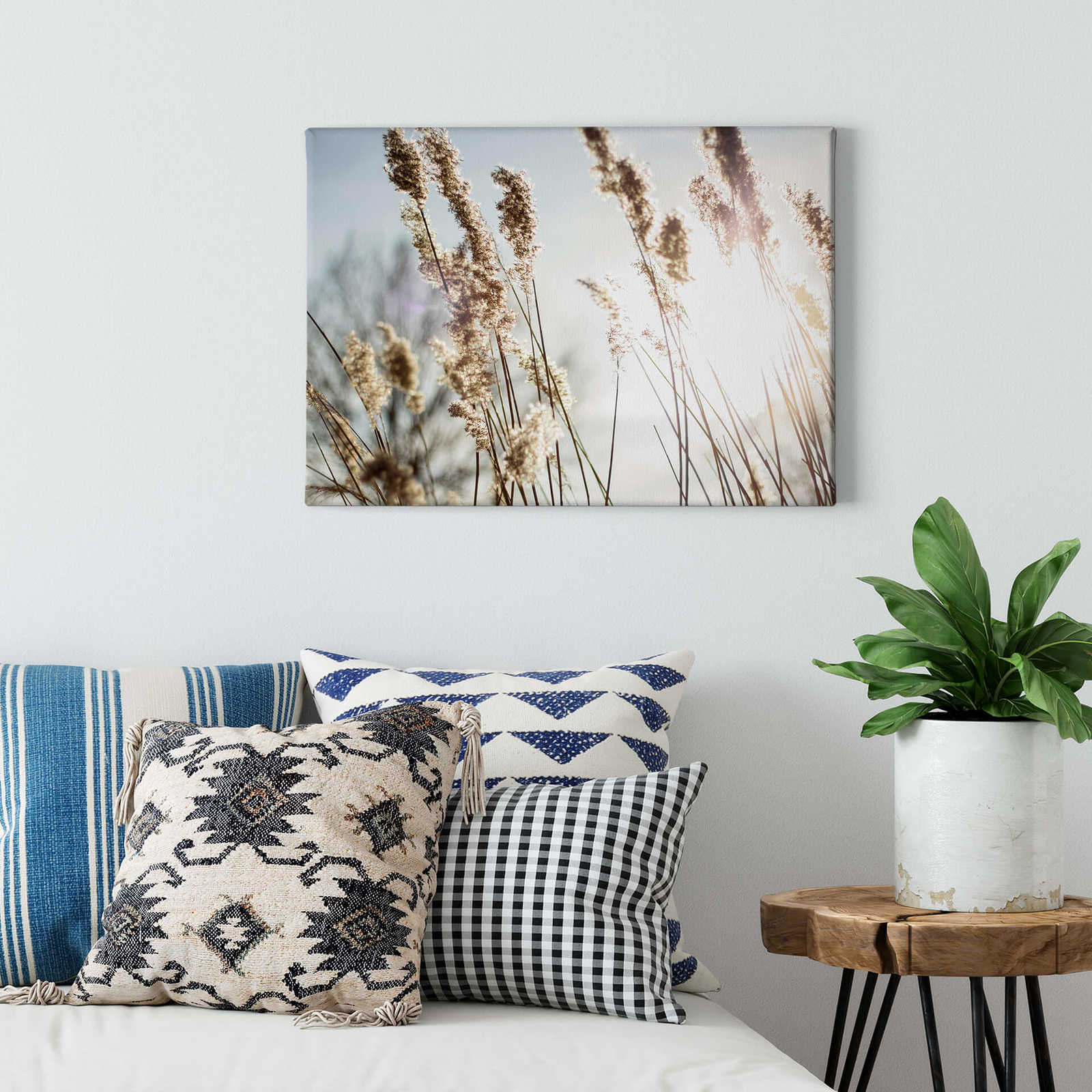             Canvas print pampas grass in the sunlight – blue, beige
        